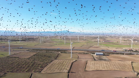 Vögel-Fliegen-über-Windkraftanlagen-Spanien-Luftaufnahme-Sonniger-Tag-Große-Felder